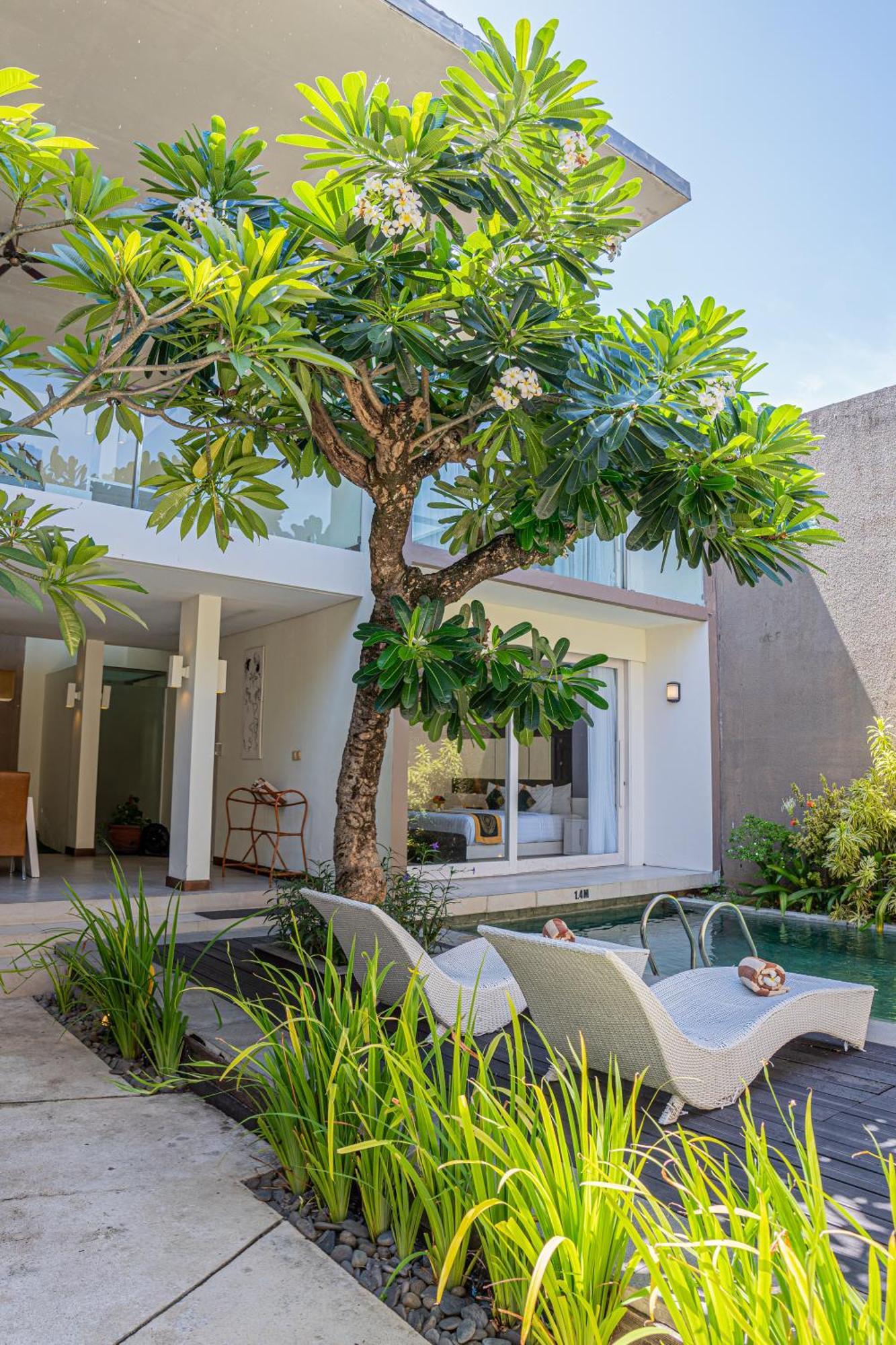 Asa Bali Luxury Villas & Spa Семиньяк Экстерьер фото